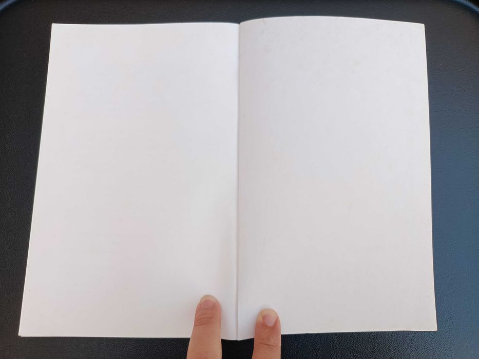 Livro "Os Sinais do Medo", Ana Zanatti