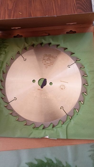 Globus tarcz 300x30 z30 nowa
