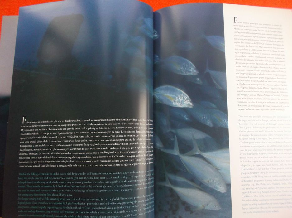 Sob os mares de Cabo Verde (Diving into adventure) – Vasco Pinhol