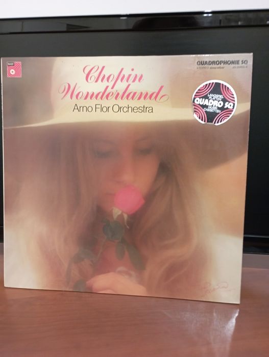 Vendo LP em vinil em óptimo estado