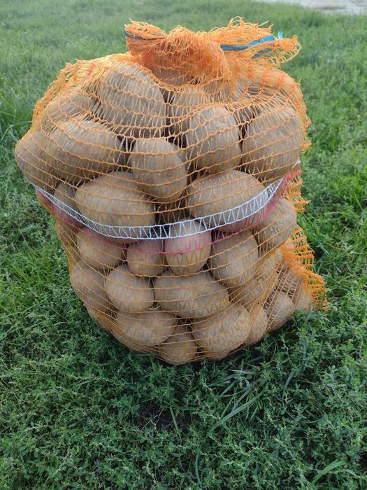 Sprzedam ziemniaki jadalne odmiany Lili.