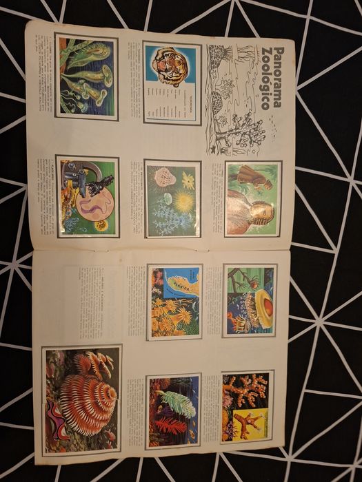 Caderneta cromos viking