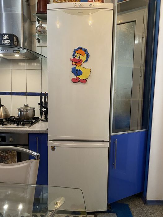 Холодильник Zanussi