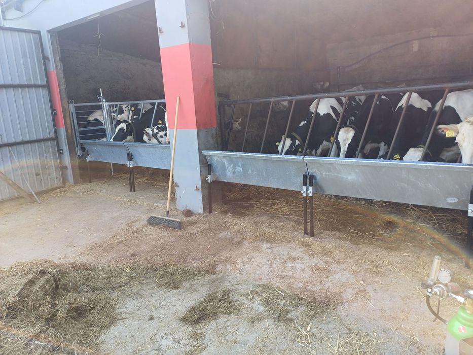 Wygrodzenia przegrody dla bydła