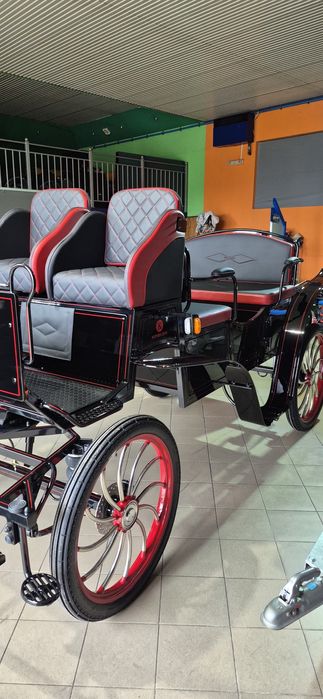 Bryczka powóz konny 6-8 osób