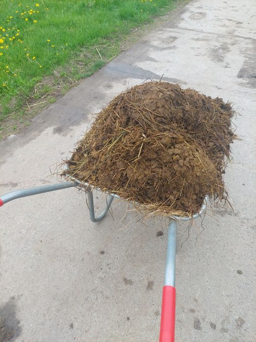 Навоз конячий в мішках