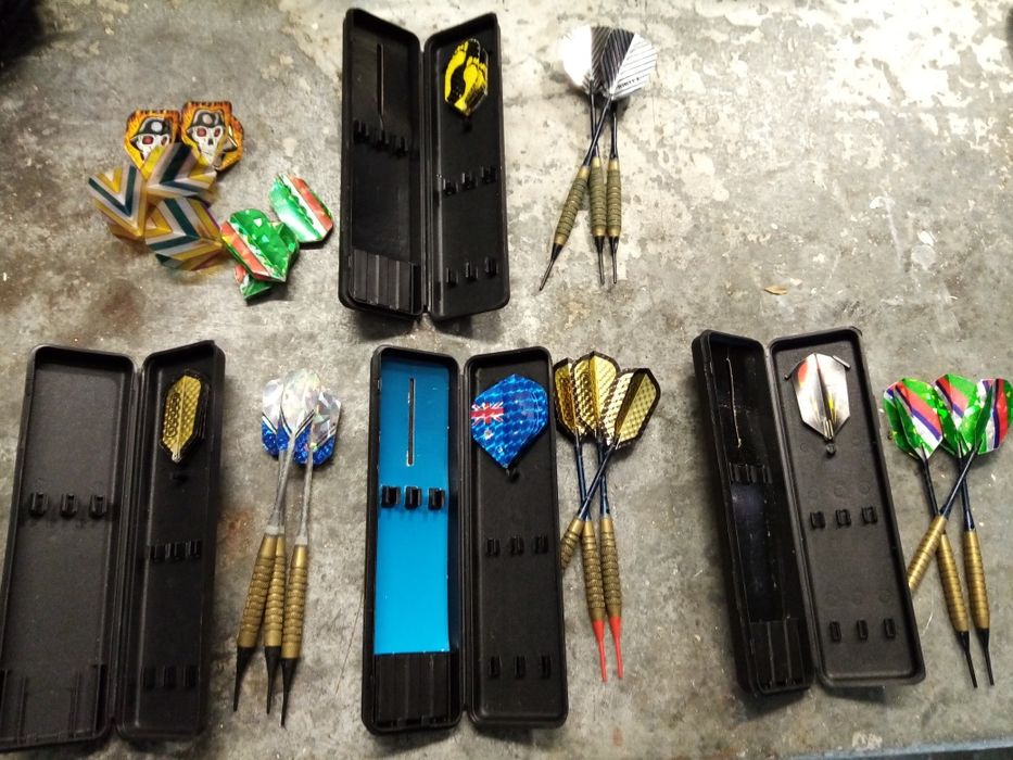 Dardos profissionais