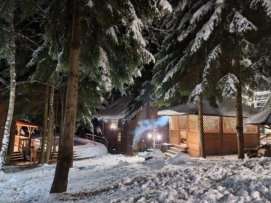 Будинки в Карпатах.  Котедж в Мигово