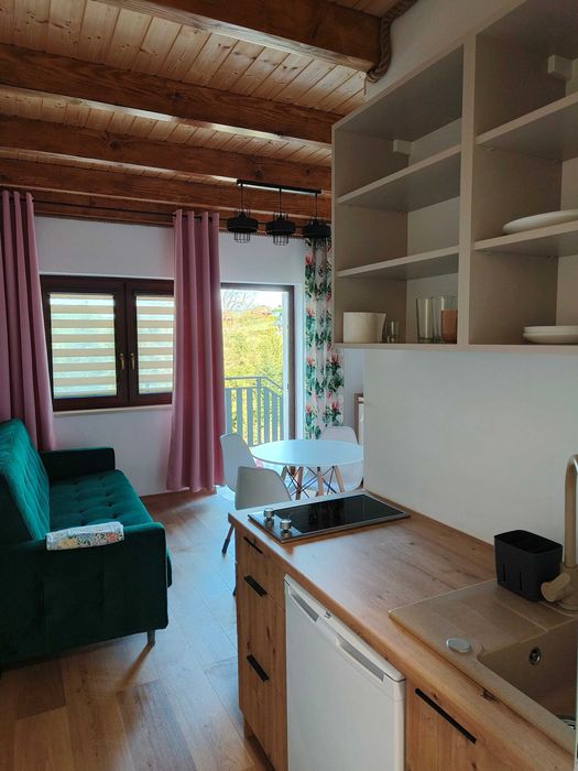 Studio Pokoje Apartamenty Bieszczady Solina Noclegi