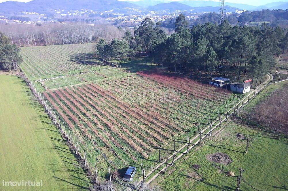 Quinta Agrícola 13300m2 em Barreiros, Amares
