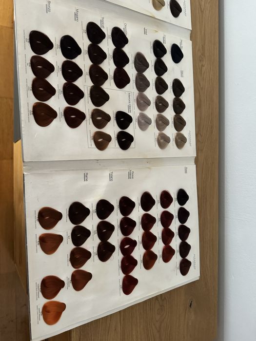 Paleta kolorow Alfaparf