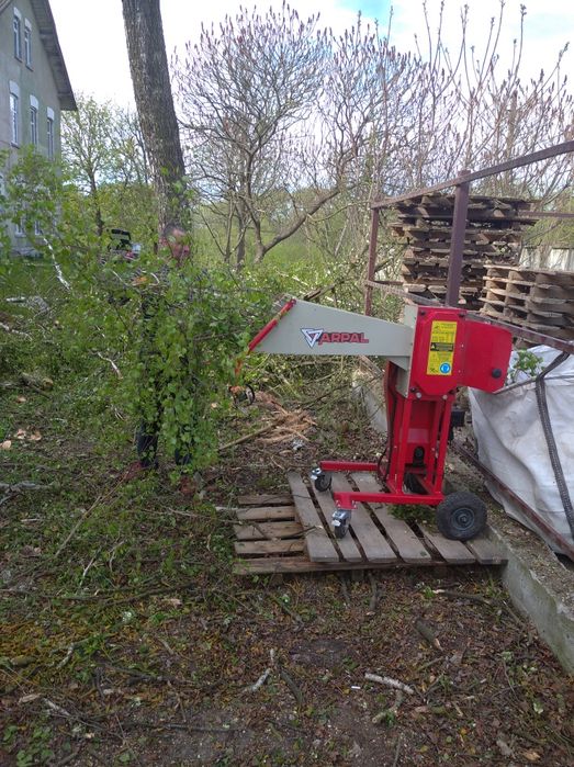 Зрізання обрізання валка видалення аварійних дерев