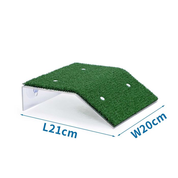 NOVO - Rampa de Tartarugas, ilha de tartarugueira