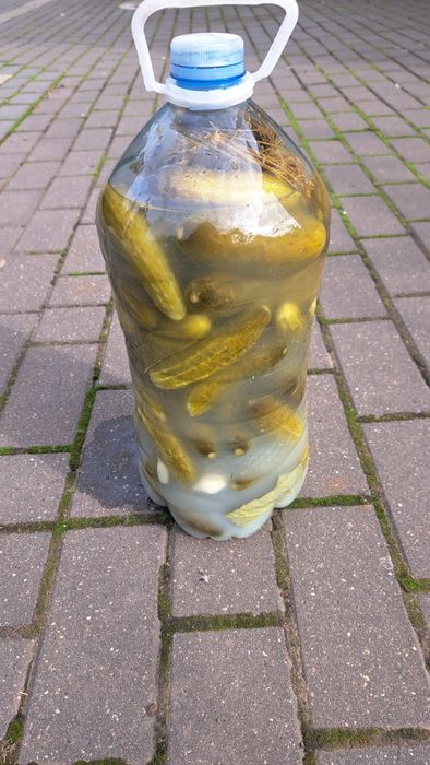 Kiszone ogórki 5l.