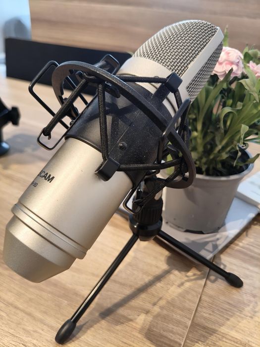 Мікрофон Tascam TM-80 . Конденсаторний мікрофон.