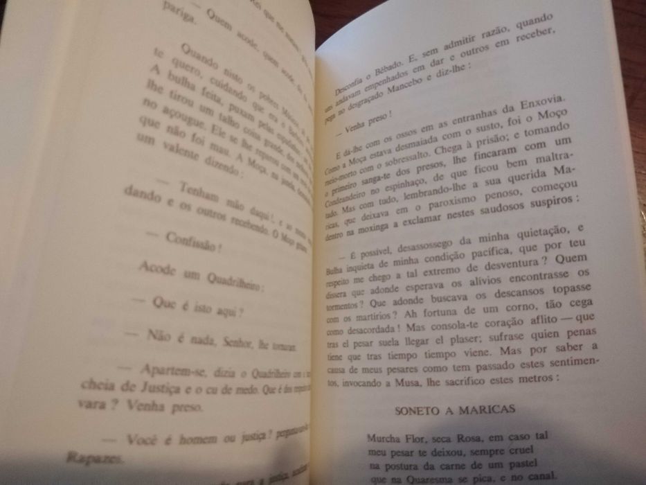 Frei Simão António de Santa Catarina - Novela despropositada
