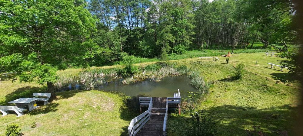 Domki w Zabłociu Sylwester !