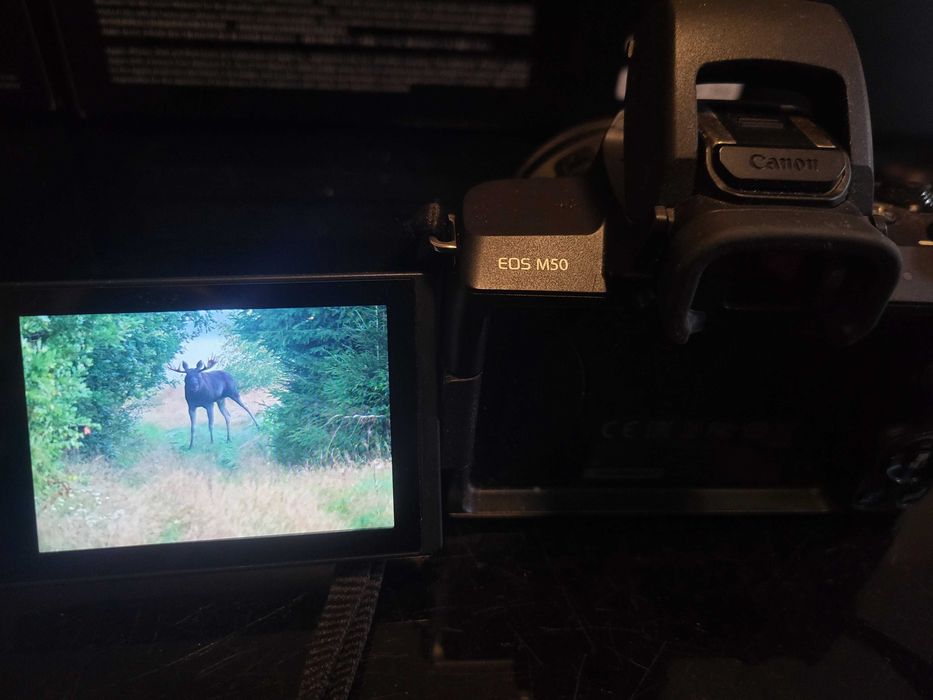 Canon EOS M50 body plus 2 obiektywy ( 15-45mm i 55-200mm) stan idealny