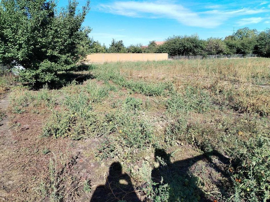 Ділянка в Фастові рн. Снігурівка