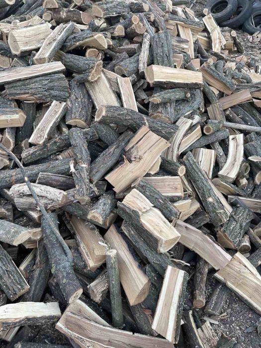 Дрова Акация, лучшая цена|от 3кубов