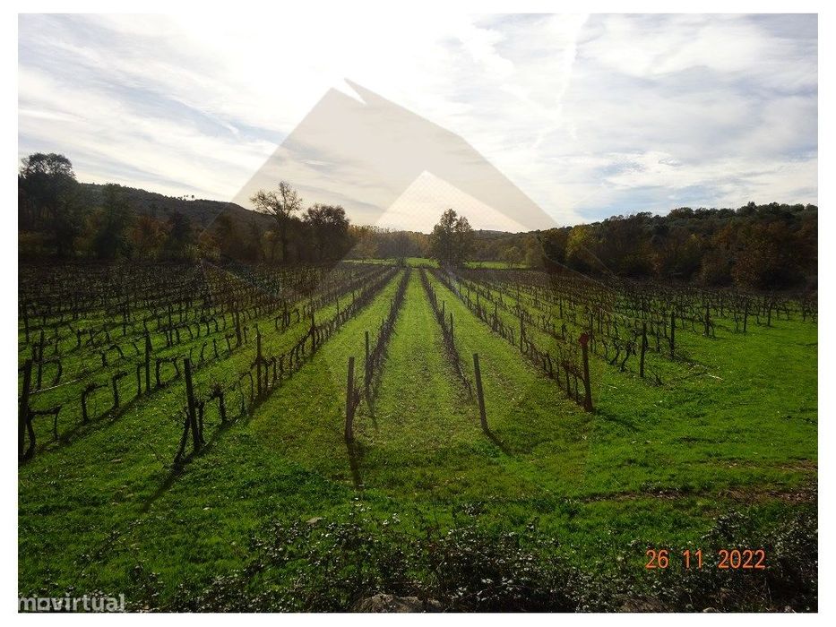 Quinta Agricola - Mêda