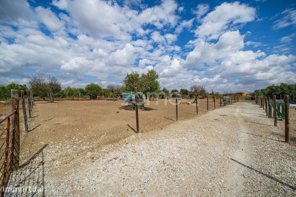 Terreno com 1 ha no Alentejo | Viabilidade construtiva