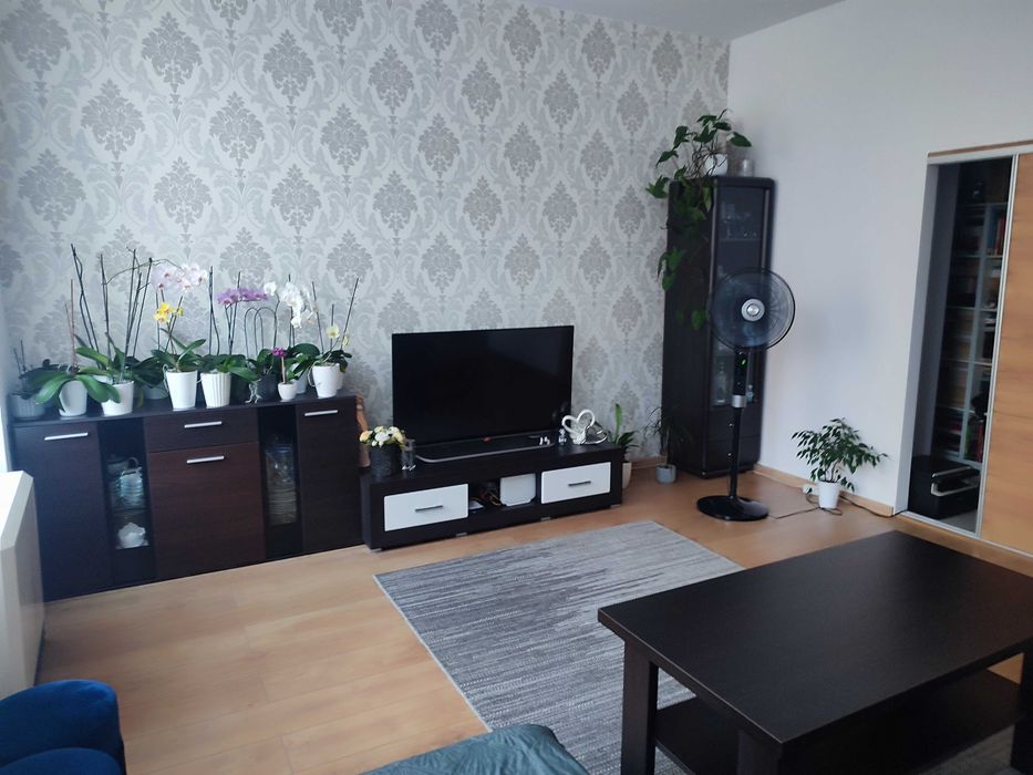 Mieszkanie 50,5m2 wysoki parter