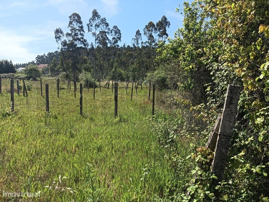 Terreno para construção de moradia - Oliveira do Bairro