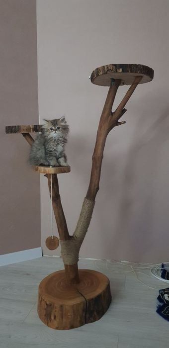 Домик для кота ігрова зона еко эко дряпка когтеточка