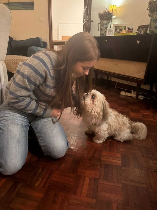 Petsitting e Dogwalking460687619549440000