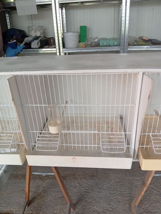 Gaiolas de madeira dá para 3 casais tenho 2