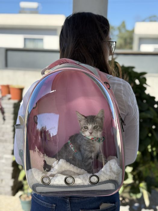 Mochila para gato