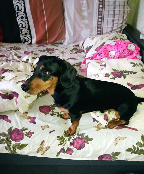 В'язка для хлопчика