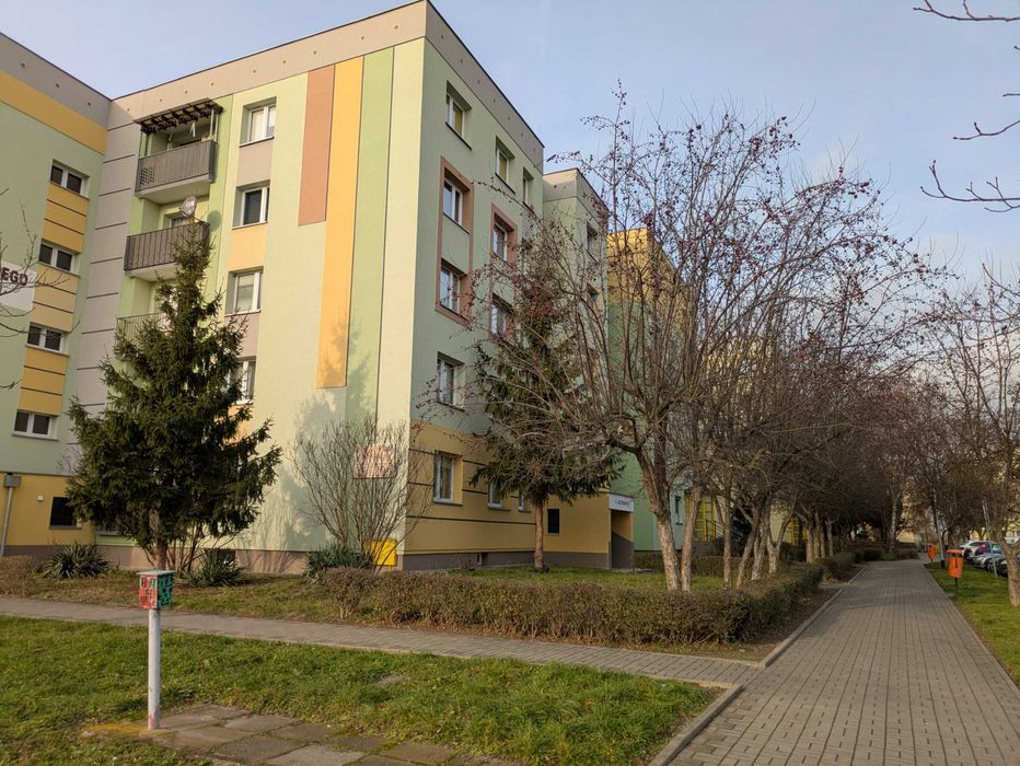 wynajmę mieszkanie 4-pokojowe z kuchnią 85m2 na pierwszym piętrze