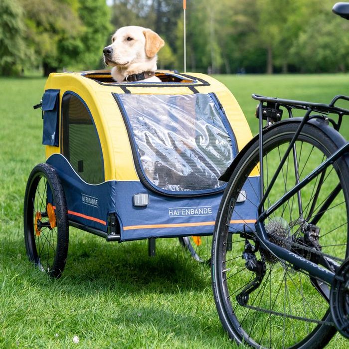 HAFENBANDE Przyczepka Rowerowa Jogger dla Psa 2w1 Cabby L 155x74x103cm do 45kg DUŻA NOWA