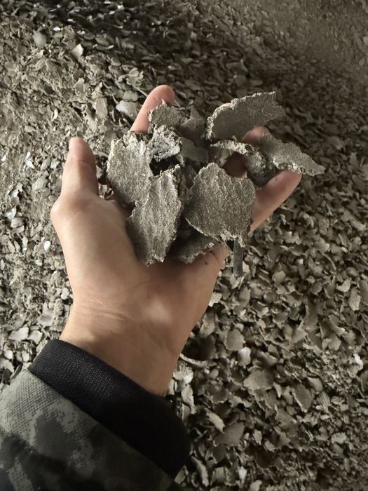 Макуха соняшникова