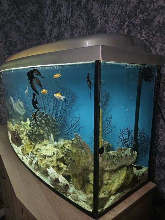 Акваріум 200 літрів
