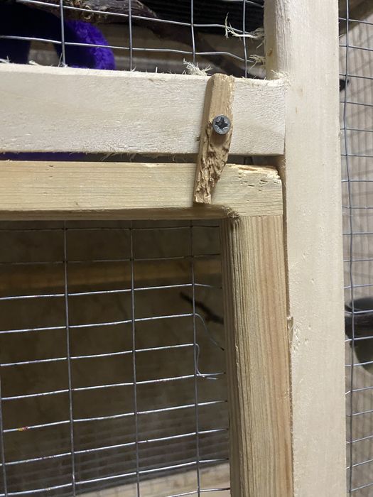 Клетка для попугаев