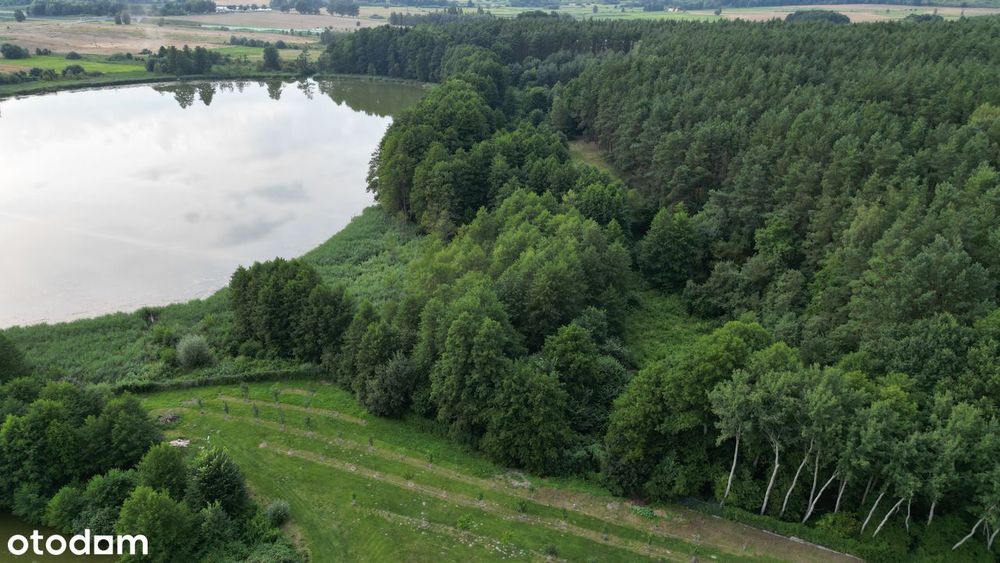 Działka w pierwszej linii brzegowej jeziora - 1,41 ha / Lubrza - Więcej