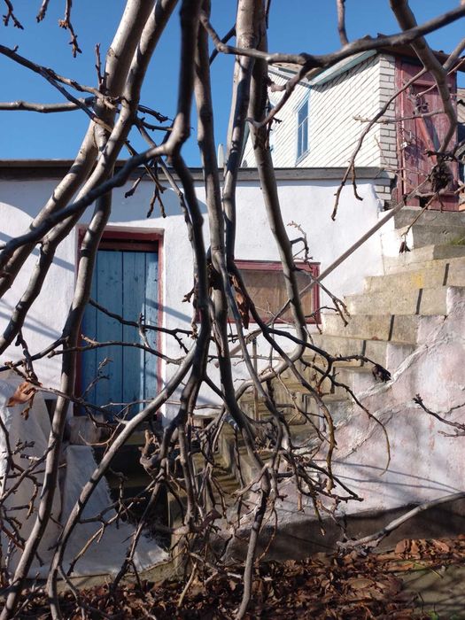 Продам будинок у селищі Томашполі