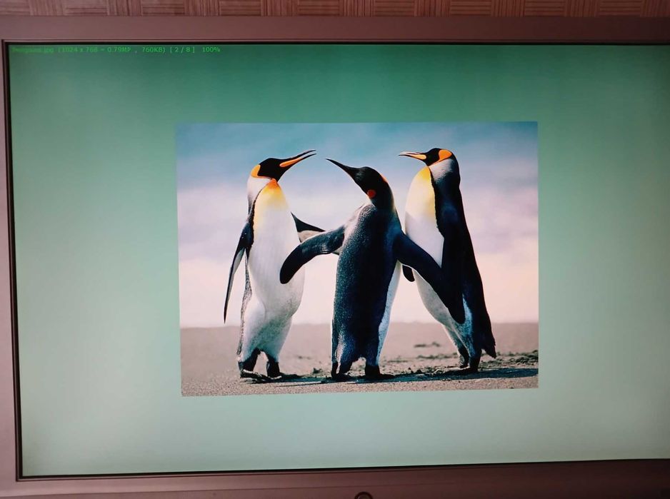 Монітор 24" BenQ G2400WA Silver black робочий зі шнурами підключення