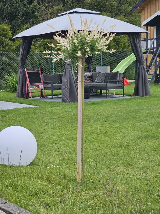 Apartament w gorach , noclegi ferie ,wakacje