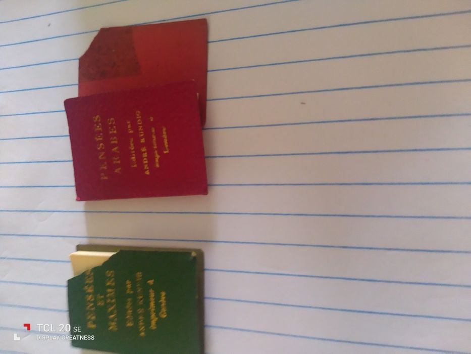 Mini livros. Pensees. Editees par André Kundig