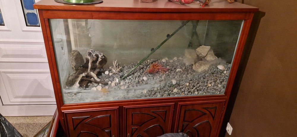 Aquario de peixes