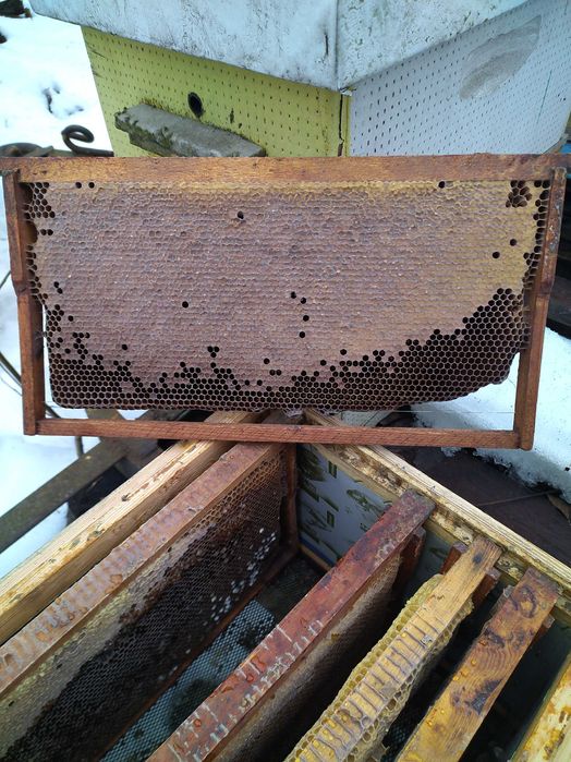 Вуликі,рамкі,суш.