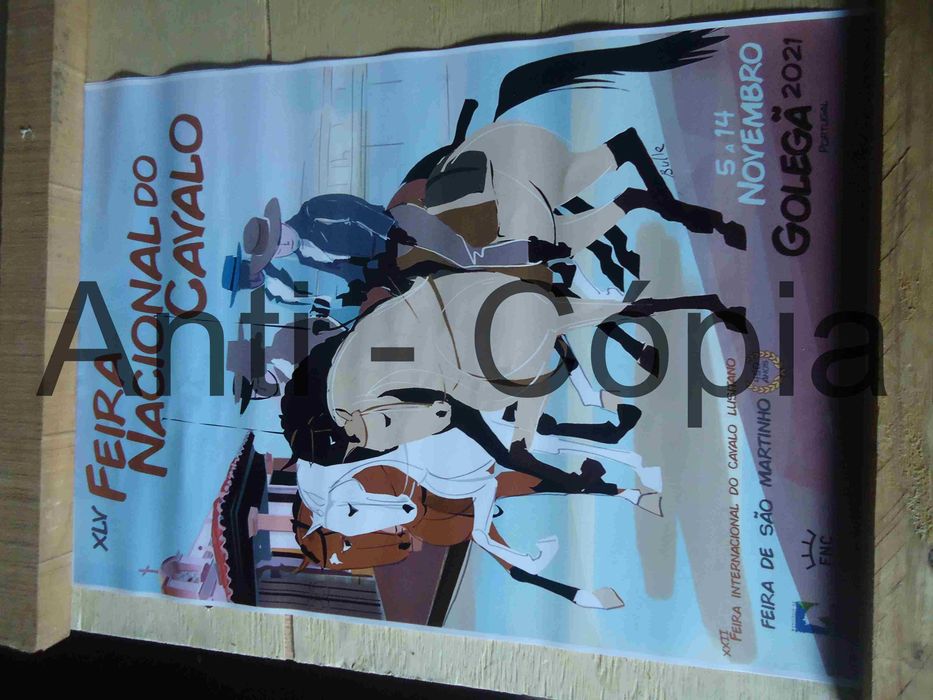 Cartazes de S. Martinho 30 x 45 aprox.