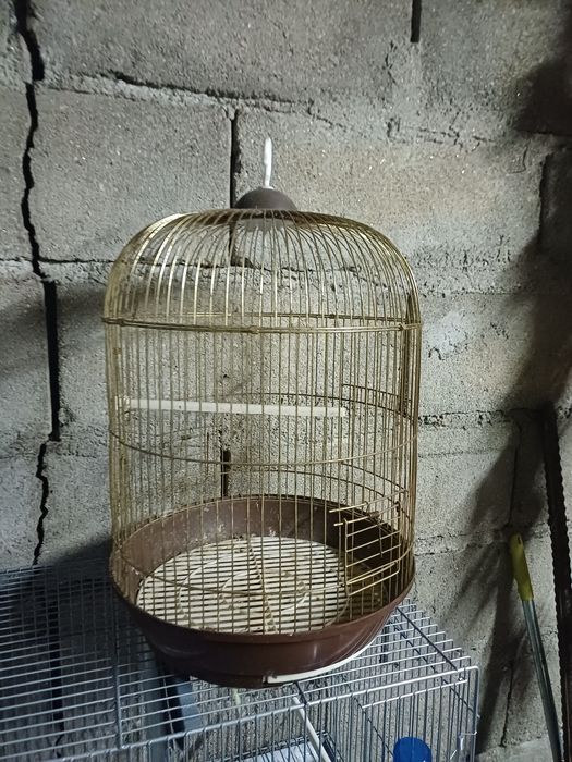 Gaiolas e acessorios- OFERTA IMPERDIVEL