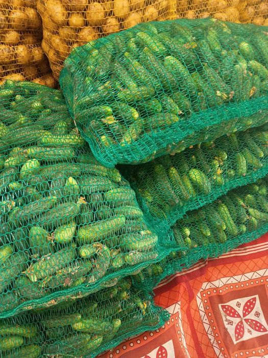 Mam na sprzedaż ogorki