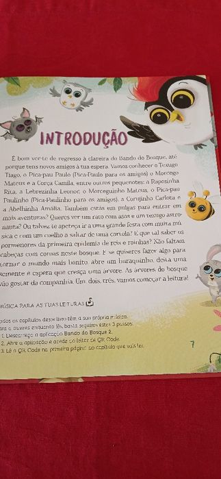 Bando do Bosque-Há Festa na Clareira, novo