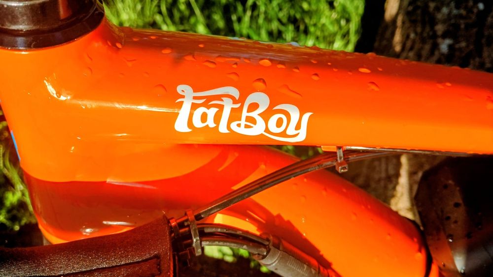 E-Fatbike Spezialized FatBoy